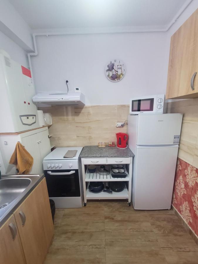 Morii Lake Special Apartment 부쿠레슈티 외부 사진